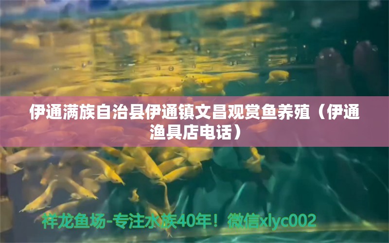 伊通滿族自治縣伊通鎮(zhèn)文昌觀賞魚養(yǎng)殖（伊通漁具店電話） 全國水族館企業(yè)名錄