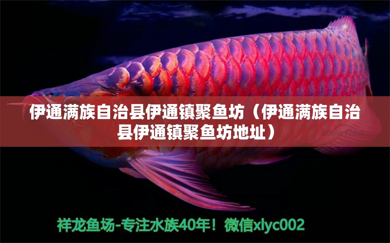 伊通滿族自治縣伊通鎮(zhèn)聚魚坊（伊通滿族自治縣伊通鎮(zhèn)聚魚坊地址）