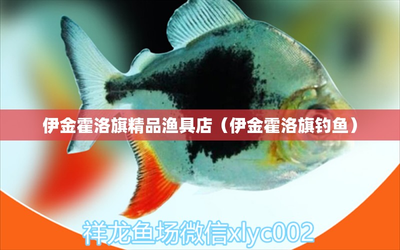 伊金霍洛旗精品漁具店（伊金霍洛旗釣魚） 垂釣樂園