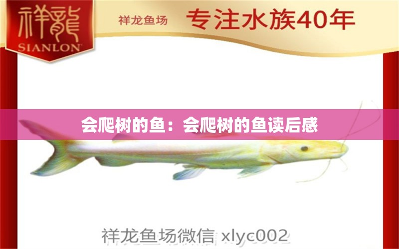 會(huì)爬樹(shù)的魚(yú)：會(huì)爬樹(shù)的魚(yú)讀后感