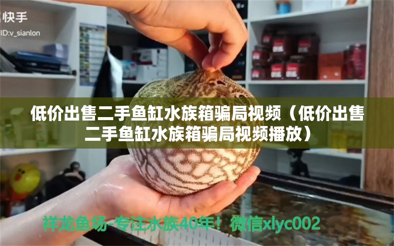 低價出售二手魚缸水族箱騙局視頻（低價出售二手魚缸水族箱騙局視頻播放） 魚缸/水族箱