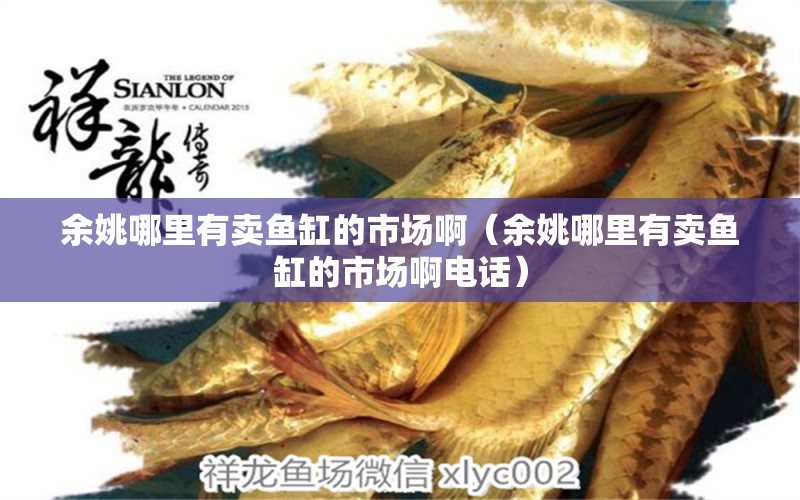 余姚哪里有賣魚缸的市場?。ㄓ嘁δ睦镉匈u魚缸的市場啊電話）