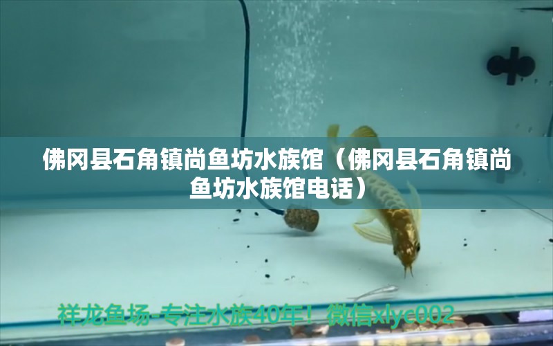 佛岡縣石角鎮(zhèn)尚魚坊水族館（佛岡縣石角鎮(zhèn)尚魚坊水族館電話） 全國水族館企業(yè)名錄