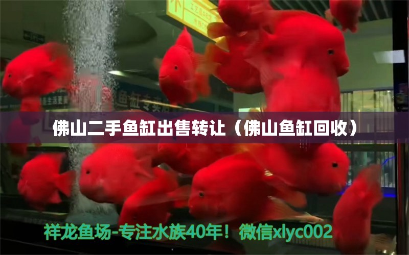 佛山二手魚缸出售轉(zhuǎn)讓（佛山魚缸回收）