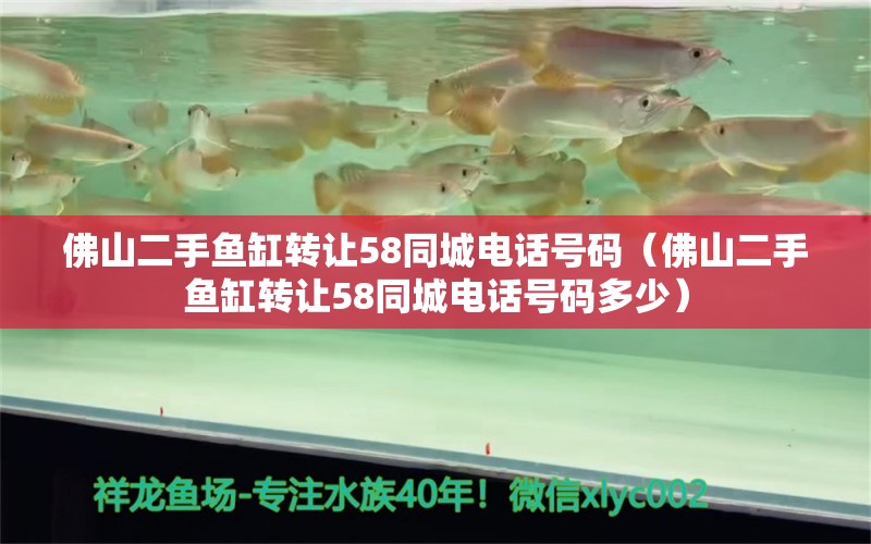 佛山二手魚缸轉(zhuǎn)讓58同城電話號(hào)碼（佛山二手魚缸轉(zhuǎn)讓58同城電話號(hào)碼多少） 祥龍水族醫(yī)院