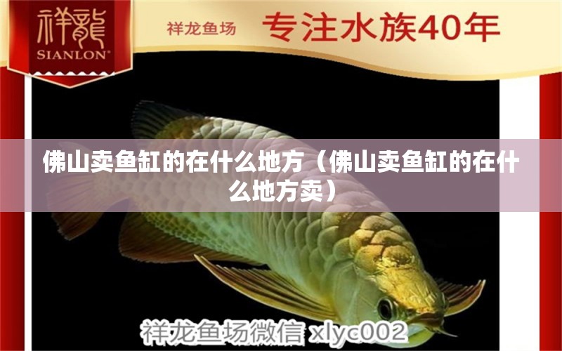 佛山賣(mài)魚(yú)缸的在什么地方（佛山賣(mài)魚(yú)缸的在什么地方賣(mài)）