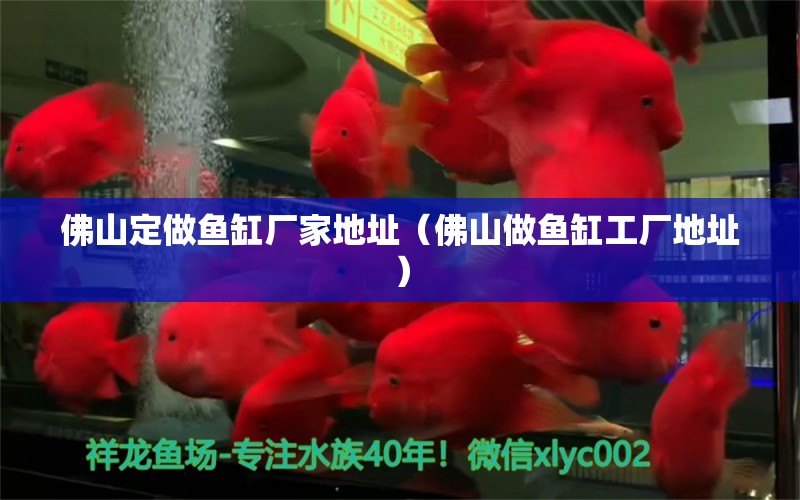 佛山定做魚缸廠家地址（佛山做魚缸工廠地址）