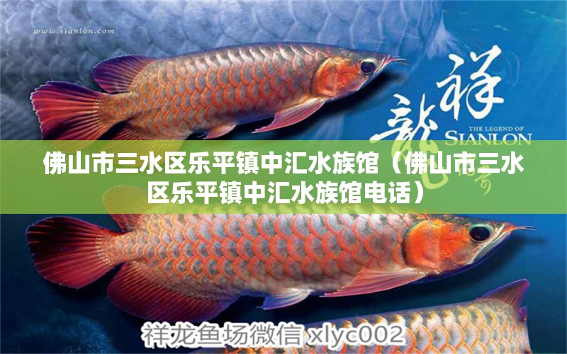 佛山市三水區(qū)樂(lè)平鎮(zhèn)中匯水族館（佛山市三水區(qū)樂(lè)平鎮(zhèn)中匯水族館電話） 全國(guó)水族館企業(yè)名錄