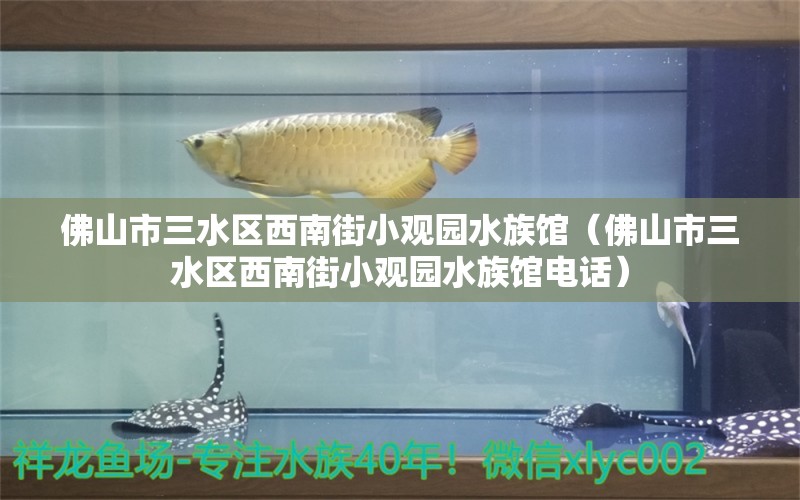 佛山市三水區(qū)西南街小觀園水族館（佛山市三水區(qū)西南街小觀園水族館電話） 全國水族館企業(yè)名錄