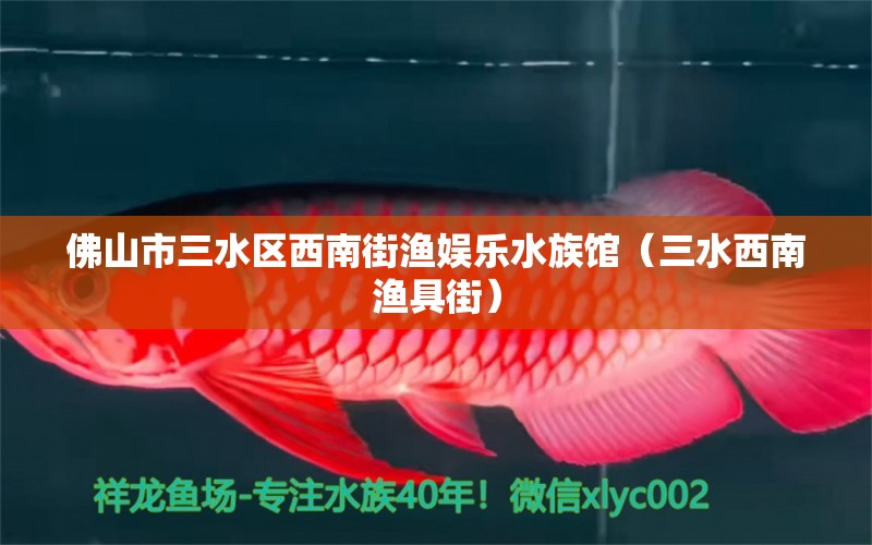 佛山市三水區(qū)西南街漁娛樂水族館（三水西南漁具街） 全國水族館企業(yè)名錄