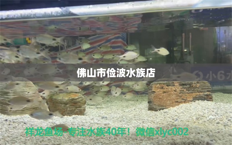 佛山市儉波水族店 全國(guó)水族館企業(yè)名錄