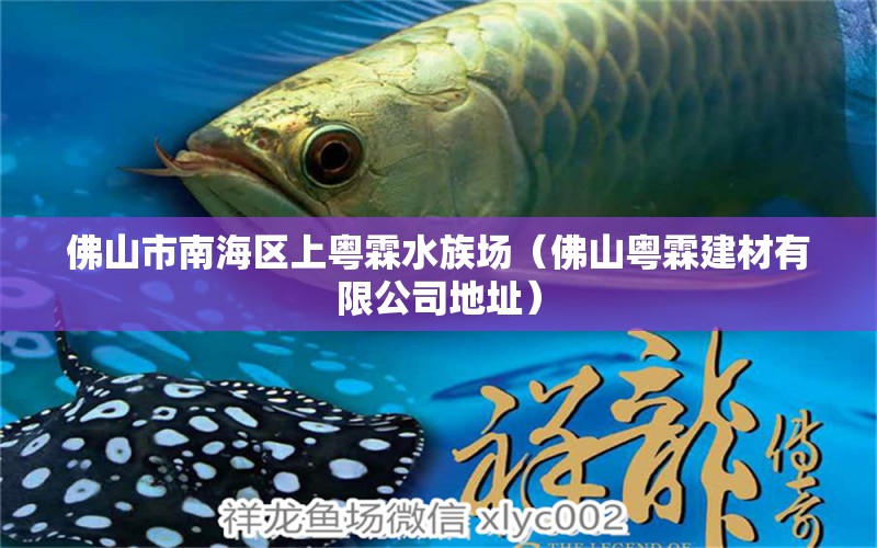 佛山市南海區(qū)上粵霖水族場（佛山粵霖建材有限公司地址） 全國水族館企業(yè)名錄