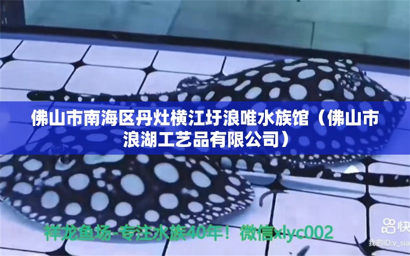 佛山市南海區(qū)丹灶橫江圩浪唯水族館（佛山市浪湖工藝品有限公司）