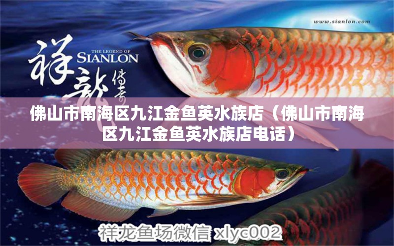 佛山市南海區(qū)九江金魚(yú)英水族店（佛山市南海區(qū)九江金魚(yú)英水族店電話）