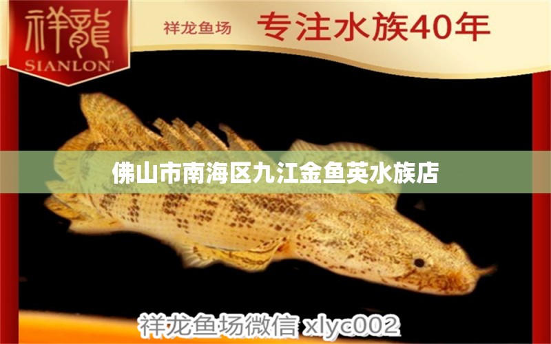 佛山市南海區(qū)九江金魚(yú)英水族店