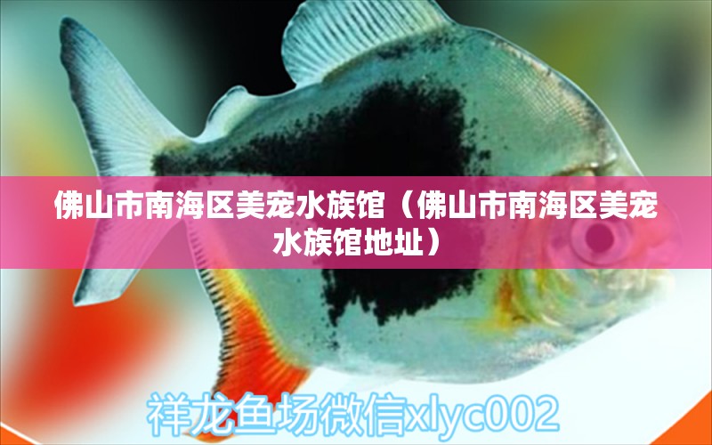 佛山市南海區(qū)美寵水族館（佛山市南海區(qū)美寵水族館地址） 全國(guó)水族館企業(yè)名錄