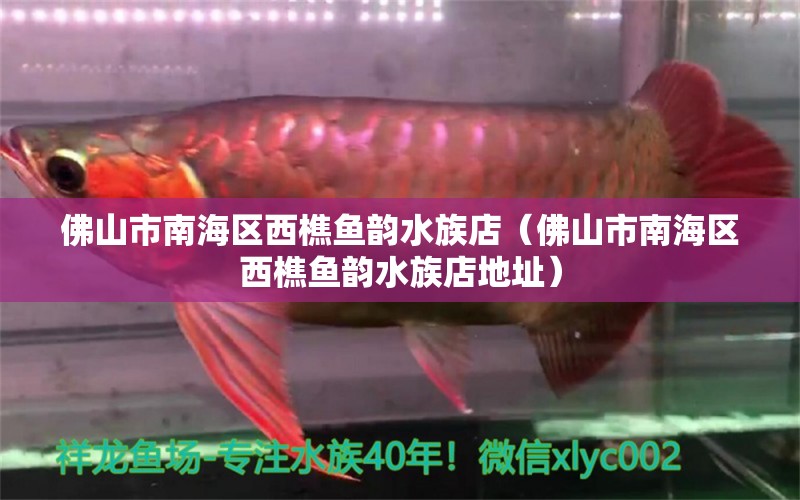 佛山市南海區(qū)西樵魚韻水族店（佛山市南海區(qū)西樵魚韻水族店地址） 全國水族館企業(yè)名錄