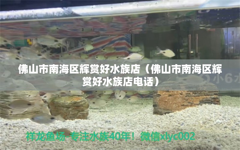 佛山市南海區(qū)輝賞好水族店（佛山市南海區(qū)輝賞好水族店電話(huà)） 全國(guó)水族館企業(yè)名錄