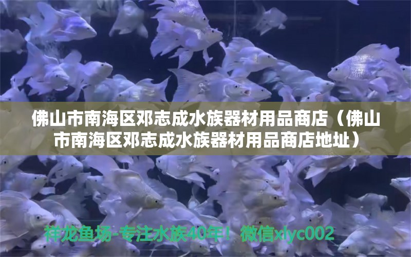 佛山市南海區(qū)鄧志成水族器材用品商店（佛山市南海區(qū)鄧志成水族器材用品商店地址）