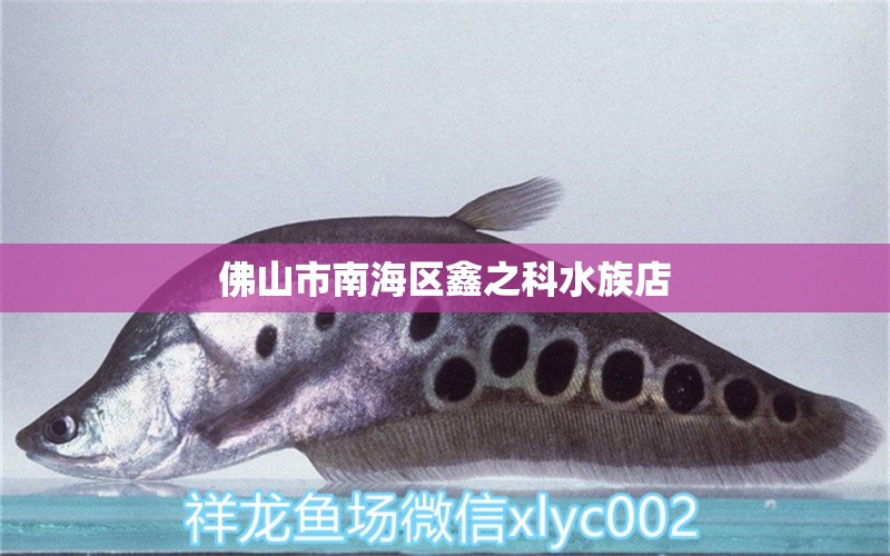 佛山市南海區(qū)鑫之科水族店 全國(guó)水族館企業(yè)名錄