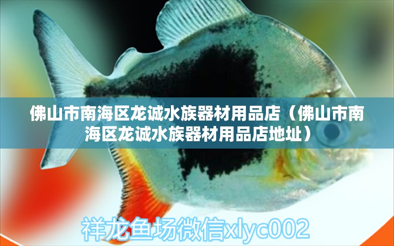 佛山市南海區(qū)龍誠水族器材用品店（佛山市南海區(qū)龍誠水族器材用品店地址）