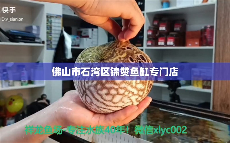 佛山市石灣區(qū)錦贊魚缸專門店 全國水族館企業(yè)名錄