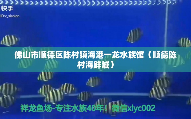 佛山市順德區(qū)陳村鎮(zhèn)海港一龍水族館（順德陳村海鮮城）