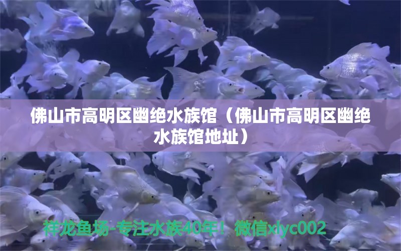 佛山市高明區(qū)幽絕水族館（佛山市高明區(qū)幽絕水族館地址） 全國(guó)水族館企業(yè)名錄