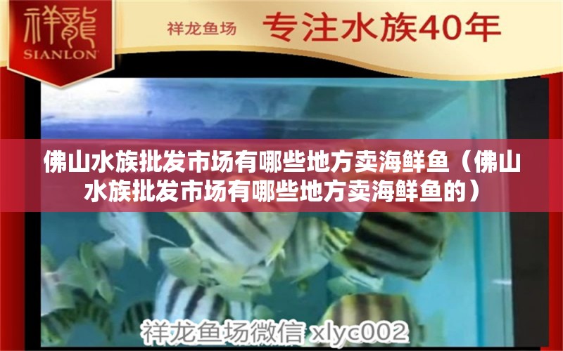 佛山水族批發(fā)市場有哪些地方賣海鮮魚（佛山水族批發(fā)市場有哪些地方賣海鮮魚的）