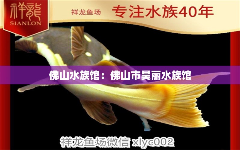 佛山水族館：佛山市昊麗水族館 全國觀賞魚市場 第2張