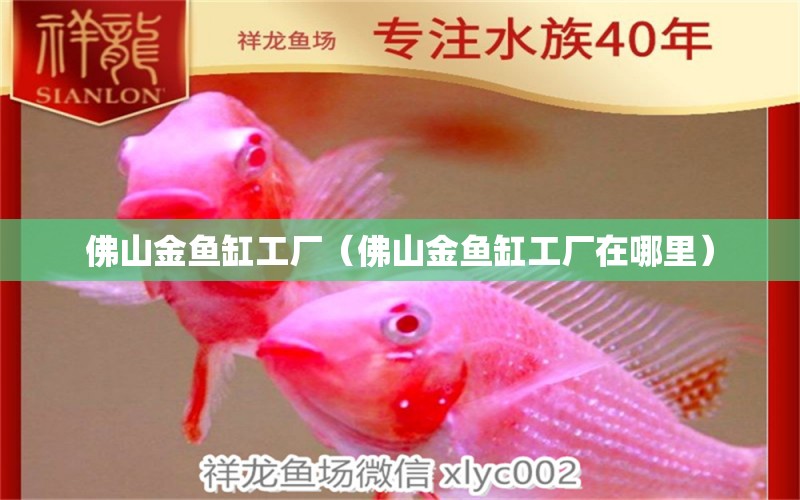 佛山金魚缸工廠（佛山金魚缸工廠在哪里）