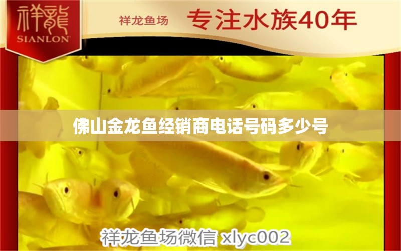 佛山金龍魚經(jīng)銷商電話號碼多少號