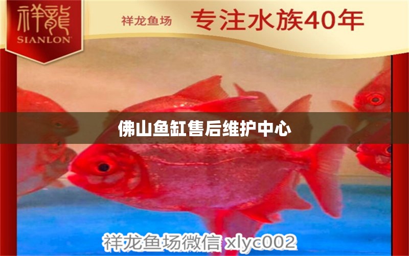 佛山魚(yú)缸售后維護(hù)中心 其他品牌魚(yú)缸