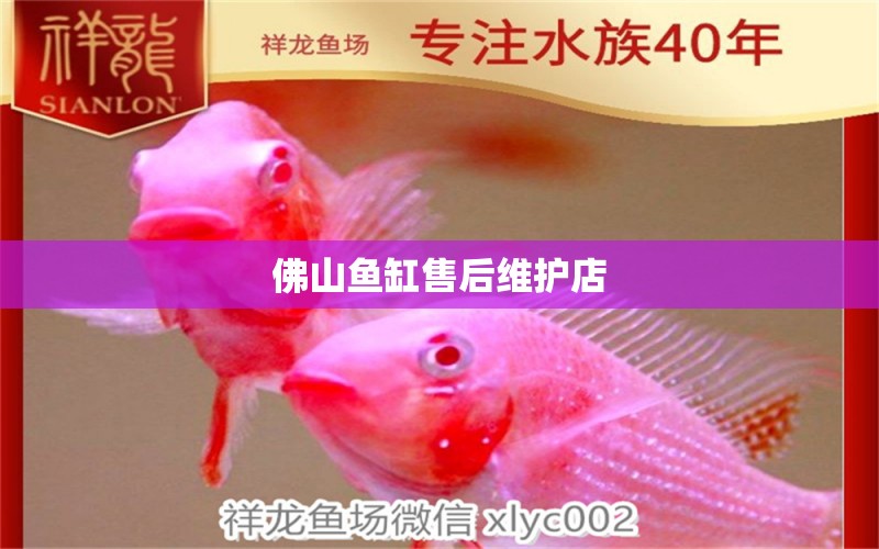 佛山魚缸售后維護(hù)店