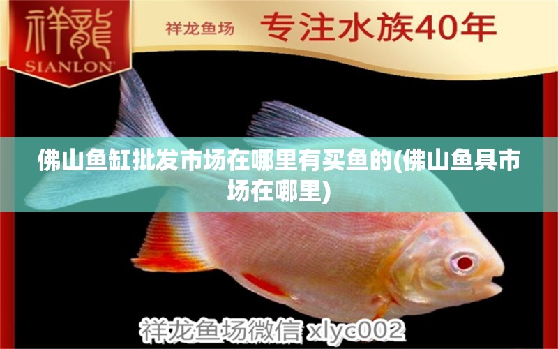 佛山魚缸批發(fā)市場在哪里有買魚的(佛山魚具市場在哪里)