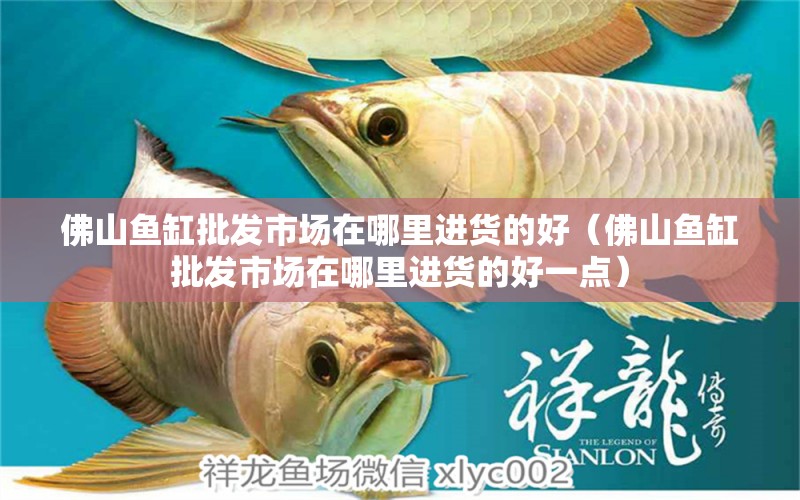 佛山魚缸批發(fā)市場在哪里進貨的好（佛山魚缸批發(fā)市場在哪里進貨的好一點）