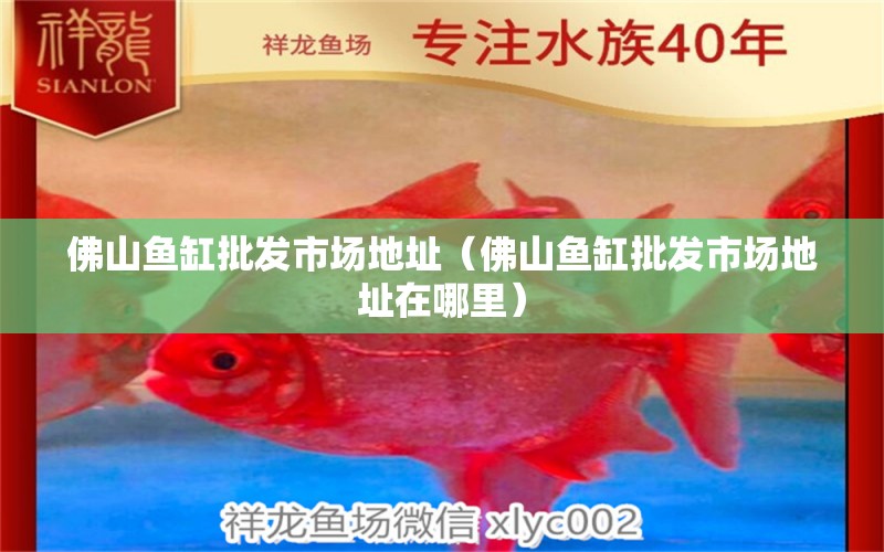 佛山魚缸批發(fā)市場地址（佛山魚缸批發(fā)市場地址在哪里）