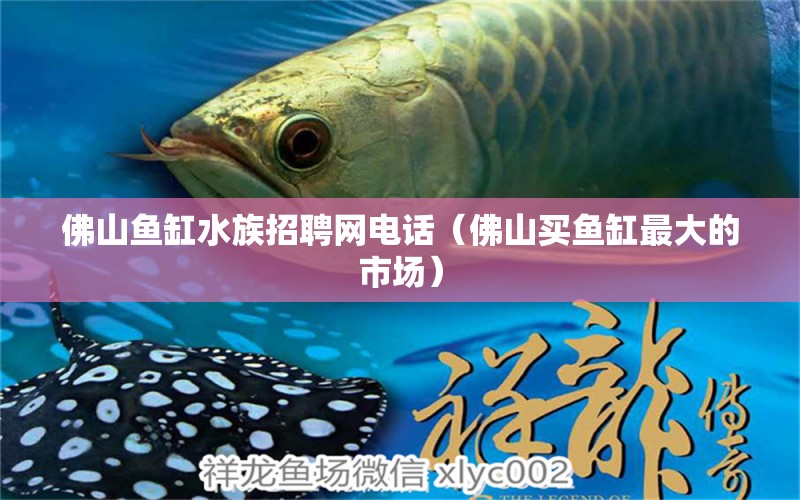 佛山魚缸水族招聘網(wǎng)電話（佛山買魚缸最大的市場(chǎng)）