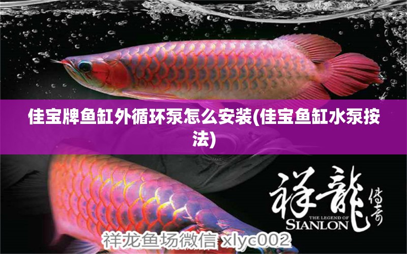 佳寶牌魚缸外循環(huán)泵怎么安裝(佳寶魚缸水泵按法) 魚缸水泵