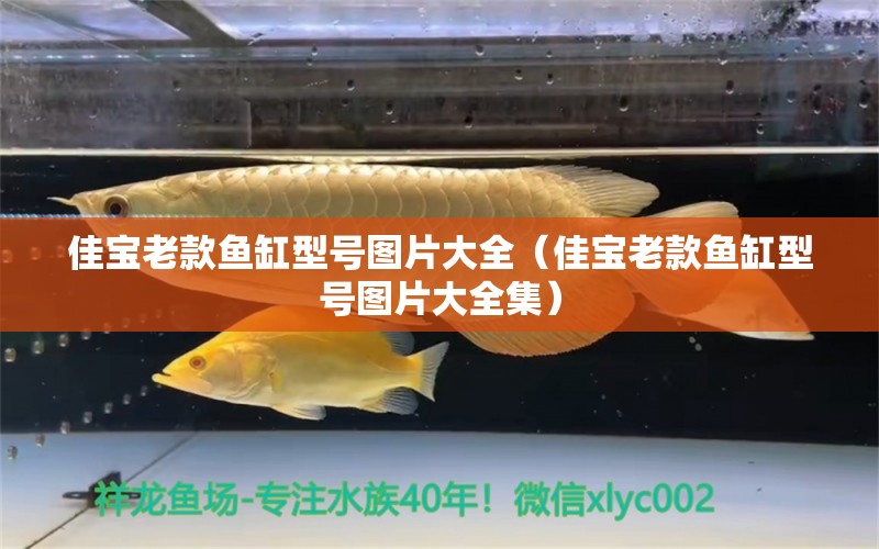 佳寶老款魚缸型號(hào)圖片大全（佳寶老款魚缸型號(hào)圖片大全集）