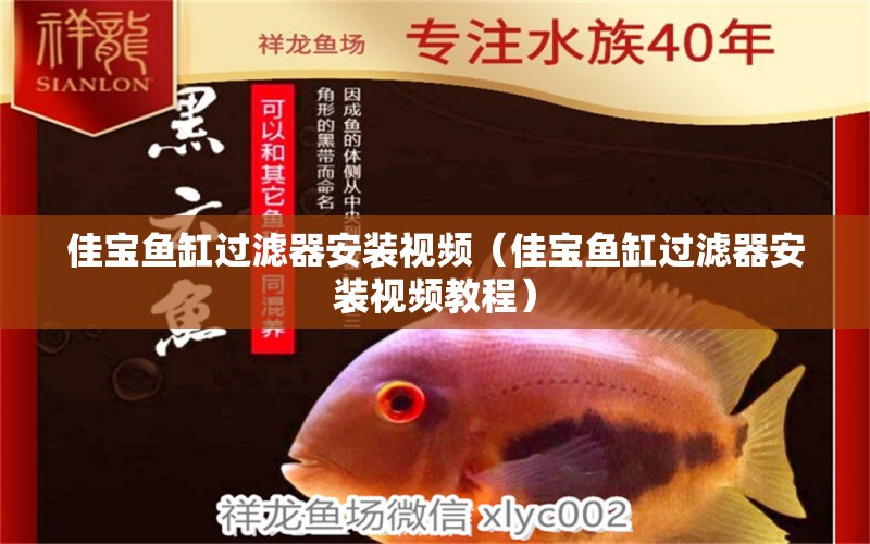 佳寶魚缸過濾器安裝視頻（佳寶魚缸過濾器安裝視頻教程）