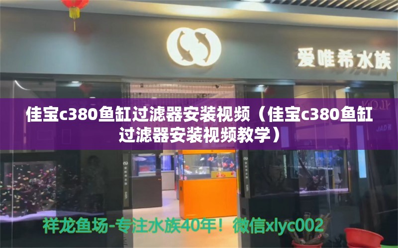 佳寶c380魚缸過濾器安裝視頻（佳寶c380魚缸過濾器安裝視頻教學(xué)）