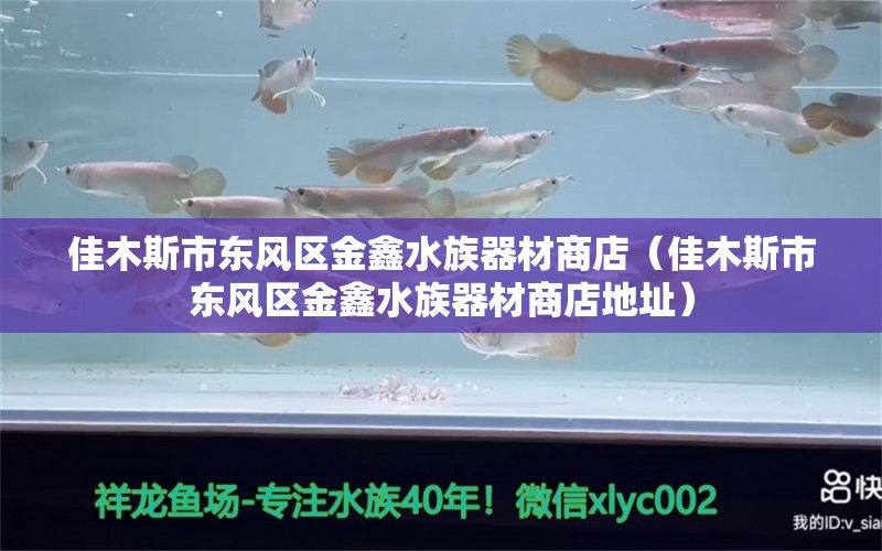 佳木斯市東風(fēng)區(qū)金鑫水族器材商店（佳木斯市東風(fēng)區(qū)金鑫水族器材商店地址）