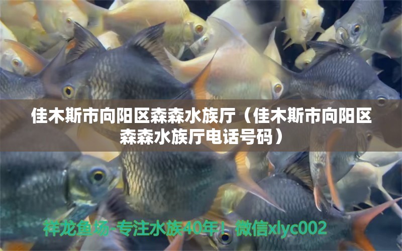 佳木斯市向陽(yáng)區(qū)森森水族廳（佳木斯市向陽(yáng)區(qū)森森水族廳電話號(hào)碼） 全國(guó)水族館企業(yè)名錄