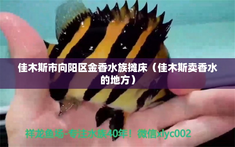 佳木斯市向陽(yáng)區(qū)金香水族攤床（佳木斯賣香水的地方）