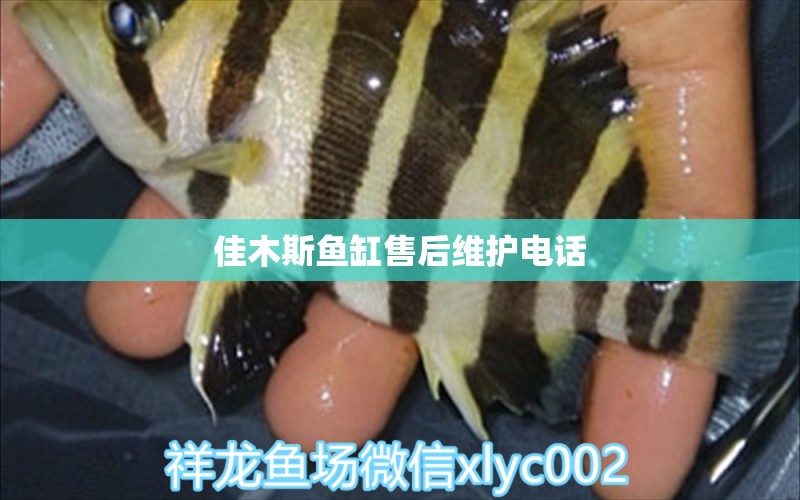 佳木斯魚缸售后維護(hù)電話 其他品牌魚缸