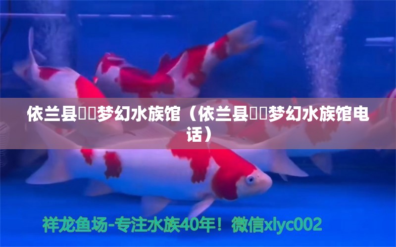 依蘭縣垟垟夢(mèng)幻水族館（依蘭縣垟垟夢(mèng)幻水族館電話）