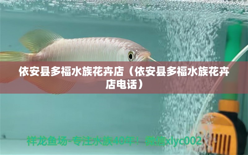 依安縣多福水族花卉店（依安縣多福水族花卉店電話）