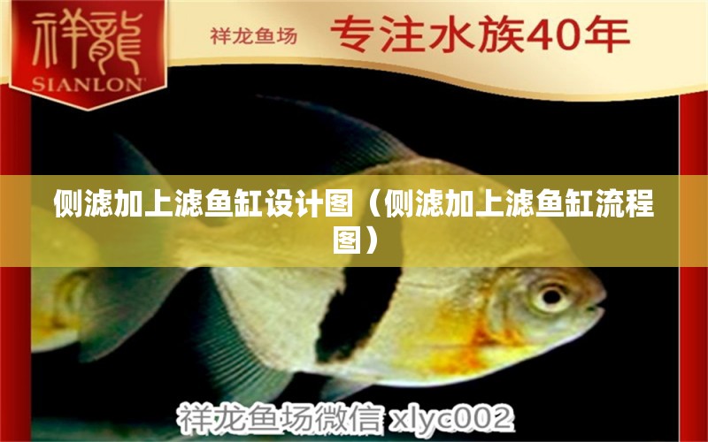 側(cè)濾加上濾魚缸設(shè)計圖（側(cè)濾加上濾魚缸流程圖）