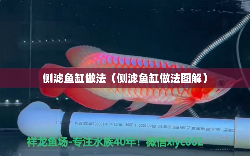 側(cè)濾魚缸做法（側(cè)濾魚缸做法圖解） 量子養(yǎng)魚技術(shù)